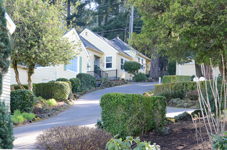 Piccolo Collina Apartments in Portland, OR - Building Photo - Building Photo