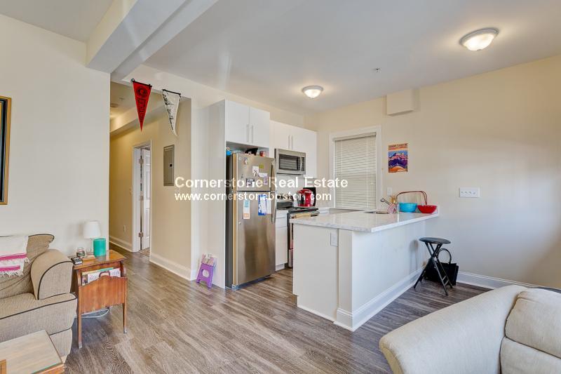 28 Hillside St, Unit 1 in Boston, MA - Foto de edificio