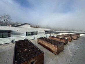 125 Albert St in Port Moody, BC - Building Photo - Building Photo