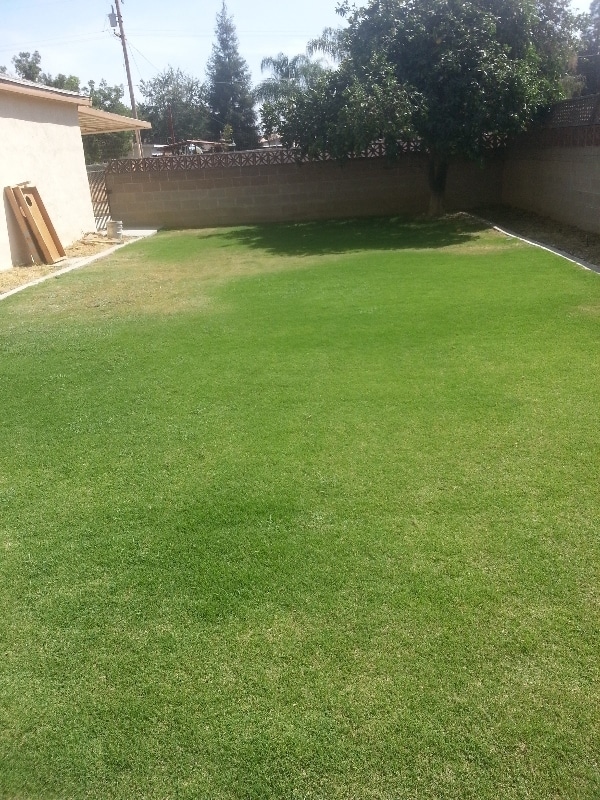 6305 Almond Dr in Bakersfield, CA - Building Photo - Building Photo