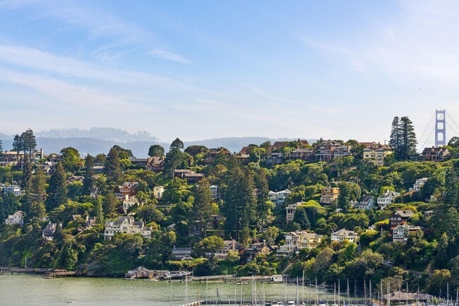 102 Red Hill Cir in Tiburon, CA - Building Photo - Building Photo