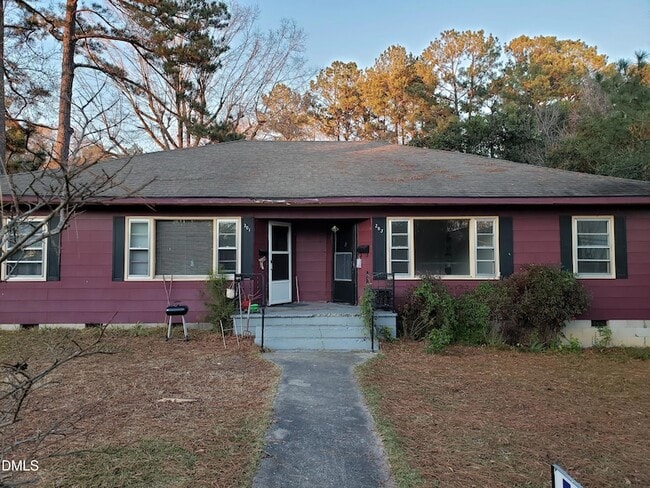 property at 203 Williamson St