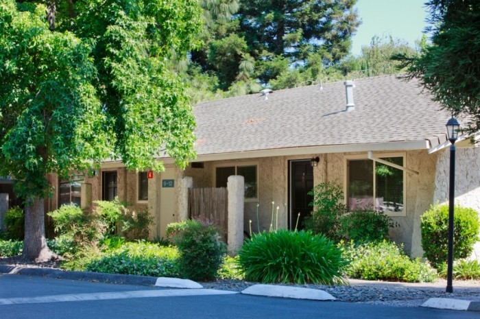 Joshua Tree in Chico, CA - Building Photo