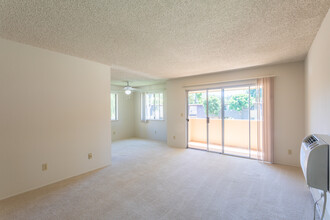 Royal Ambassador Apartments in Santa Clara, CA - Building Photo - Interior Photo