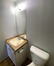 11734 Greensbrook Forest Dr in Houston, TX - Building Photo - Building Photo