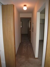 116 W Wood St, Unit 3 - Penthouse in Palatine, IL - Building Photo - Building Photo