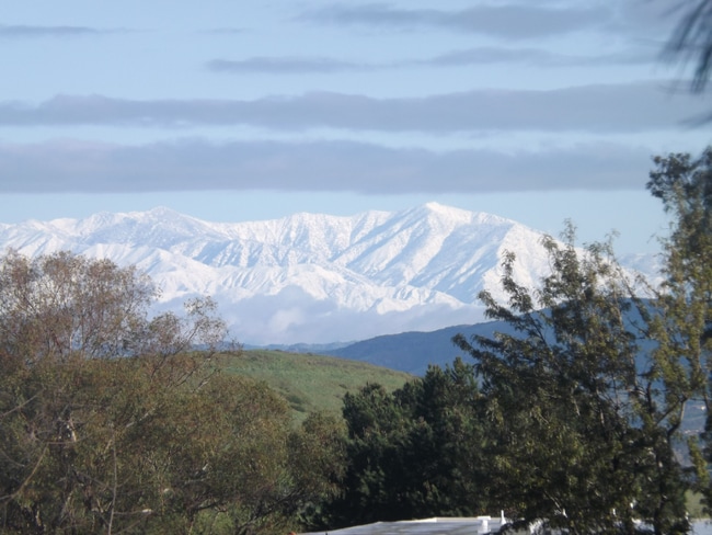 property at 3369 Punta Alta