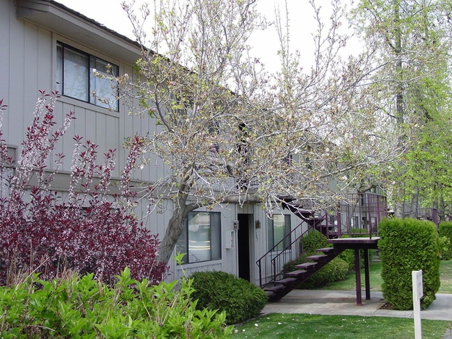 Avalon Court Apartments in Kennewick, WA - Building Photo - Building Photo