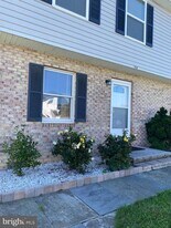 208 Hackberry Dr in Stephens City, VA - Building Photo