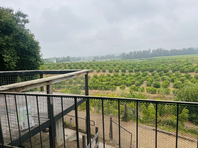 property at 4790 Sand Canyon Rd