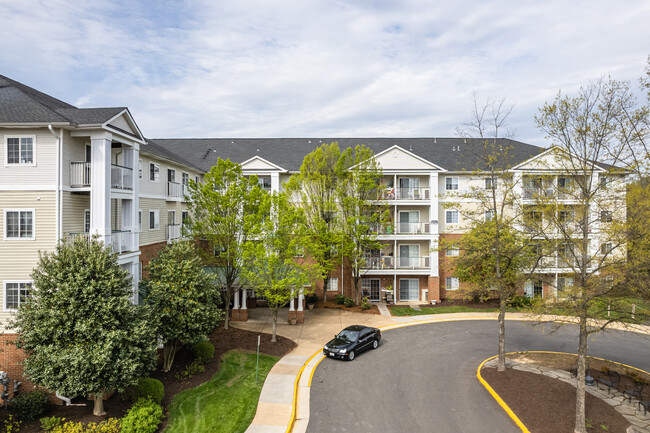 River Run Senior Apartments in Woodbridge, VA - Building Photo - Building Photo