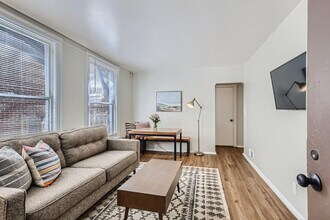 1073 N Downing St in Denver, CO - Building Photo - Building Photo