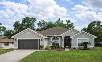 10456 Clarion St in Spring Hill, FL - Building Photo