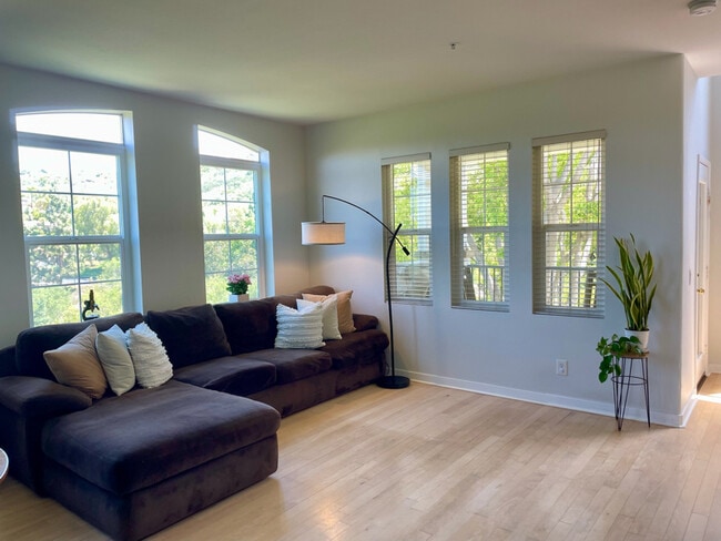 property at 3144 Via Puerta