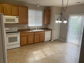 4021 Shane Valley Trail in Castle Rock, CO - Building Photo - Building Photo