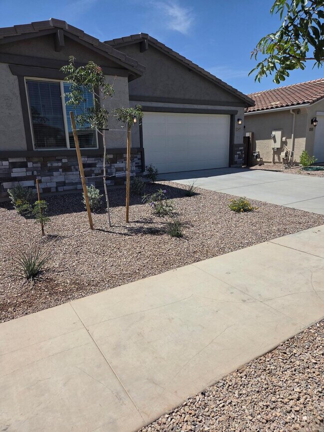 22457 E Watford Dr in Queen Creek, AZ - Building Photo - Building Photo