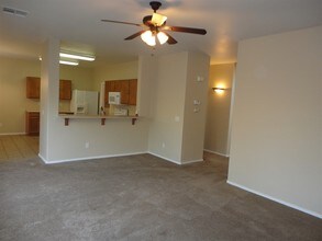 420 E Palomino Way in San Tan Valley, AZ - Building Photo - Building Photo