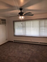 1017 S 14th Ave in Maywood, IL - Building Photo - Building Photo