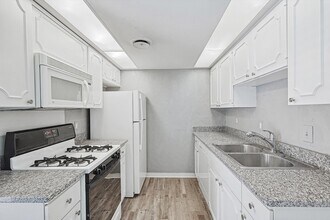 15931 Stillwood St, Unit 2095 in Dallas, TX - Building Photo - Building Photo