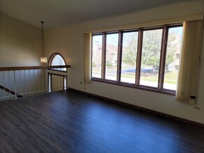 17624 Drummond Dr in Tinley Park, IL - Building Photo - Building Photo