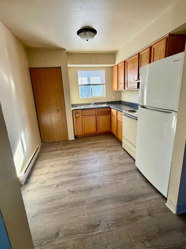 25731 W Bridge St in Channahon, IL - Building Photo - Building Photo