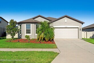 12653 Palapa Loop in Spring Hill, FL - Foto de edificio - Building Photo