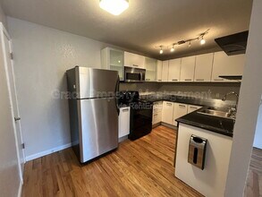 1045 N Clarkson St in Denver, CO - Building Photo - Building Photo