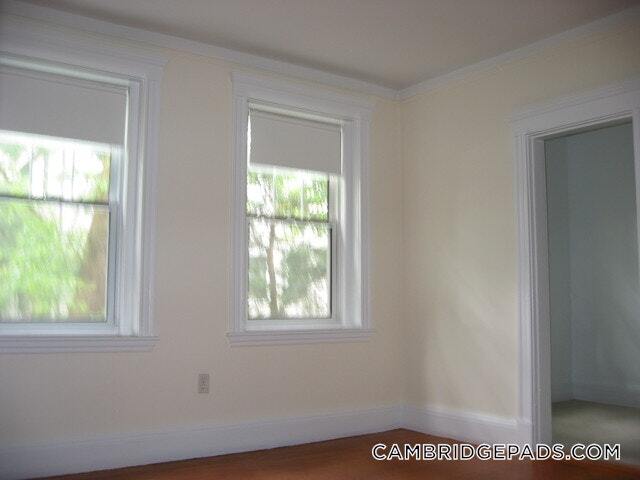 24 Chauncy St in Cambridge, MA - Building Photo - Building Photo