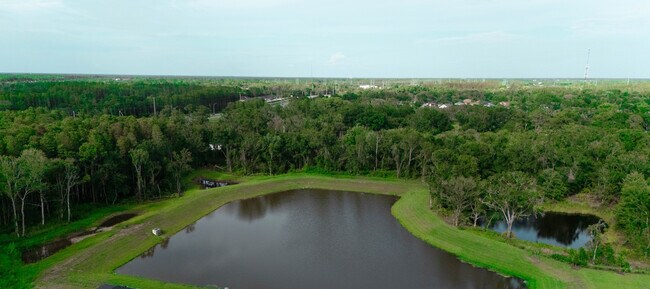 20295 Lou Angela Ln in Lutz, FL - Building Photo - Building Photo