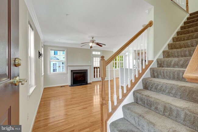 13576 Davinci Ln in Herndon, VA - Building Photo - Building Photo