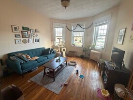 313 Allston St, Unit 1 in Boston, MA - Building Photo