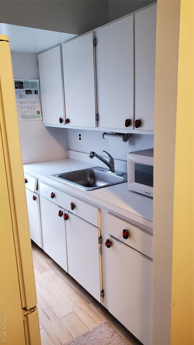 11 Laramie Ct in Coram, NY - Building Photo - Building Photo