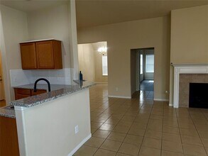 4815 Vintage Grove Ct in Katy, TX - Building Photo - Building Photo