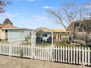 537 Madison St in Albany, CA - Building Photo - Building Photo