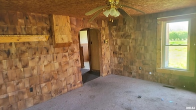 272 S Shannon St in Richview, IL - Building Photo - Building Photo