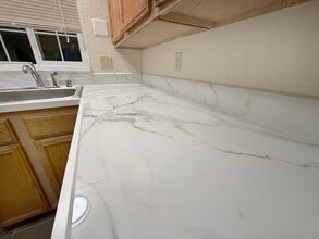 Sehome Court Apartments in Bellingham, WA - Building Photo - Building Photo