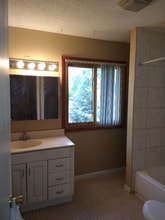 1721 Whitney Dr in Hanover Park, IL - Building Photo - Building Photo
