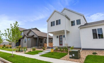 5081 McKinnon Ct in Timnath, CO - Foto de edificio - Building Photo