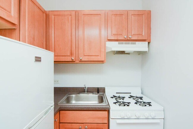 1742 N Humboldt Blvd in Chicago, IL - Building Photo - Building Photo