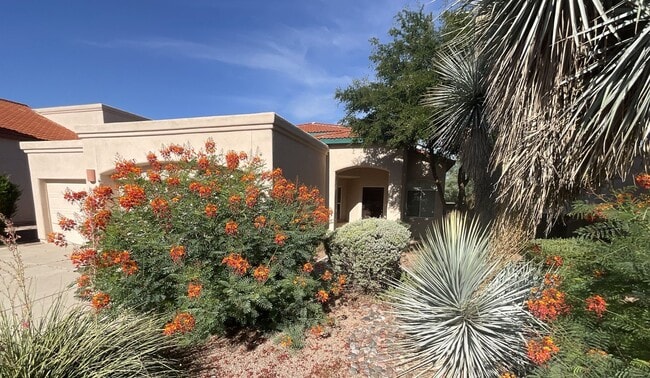 2165 N Camino Agrios in Tucson, AZ - Building Photo - Building Photo