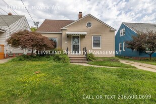 11005 Brunswick Ave in Garfield Heights, OH - Building Photo