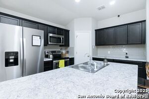 4614 Heathers Cross in Saint Hedwig, TX - Building Photo - Building Photo