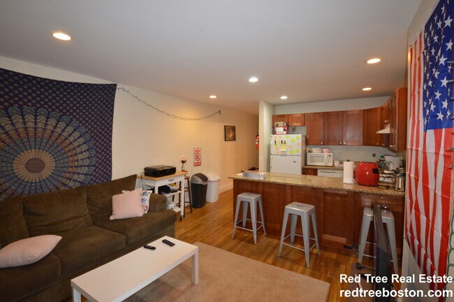 62 Egmont St, Unit 6 in Brookline, MA - Foto de edificio - Building Photo