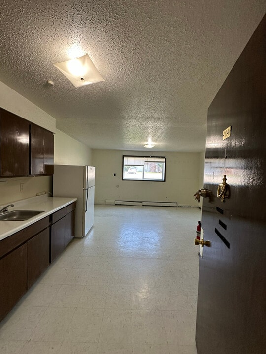 320 Oak Ave N in Thief River Falls, MN - Building Photo