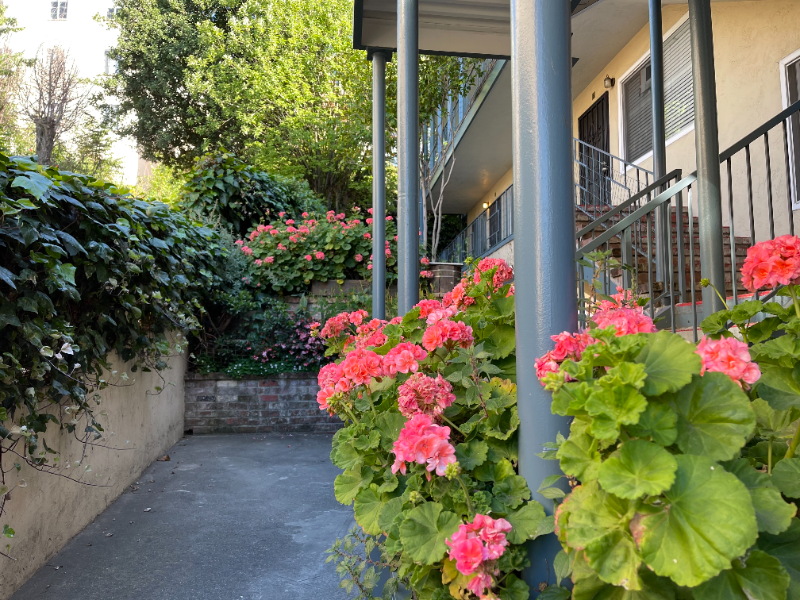 2424 Park Blvd-Unit -4 in Oakland, CA - Building Photo