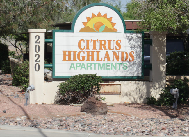 Citrus Highlands in Mesa, AZ - Building Photo - Building Photo