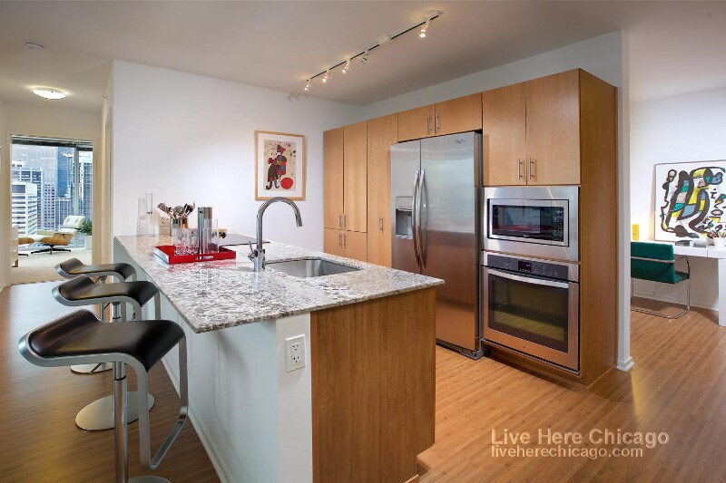 200 E Illinois St-Unit -1307 in Chicago, IL - Building Photo