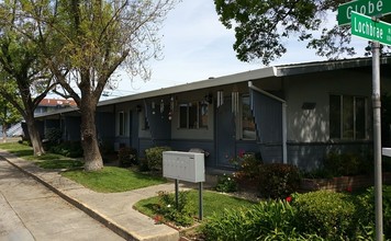 1009 Lochbrae Rd in Sacramento, CA - Building Photo - Building Photo