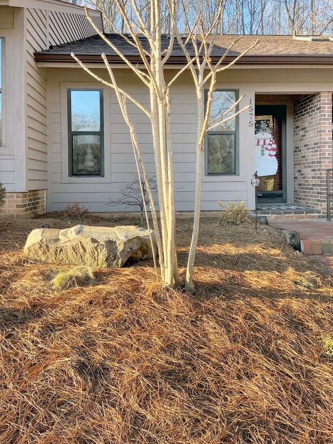 property at 1575 Ivy Trce