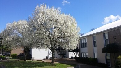 246 White Bridge Rd in Nashville, TN - Foto de edificio - Building Photo